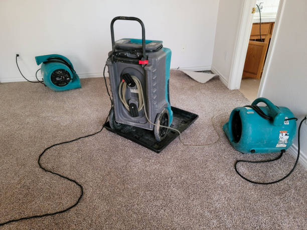Best Carpet water damage restoration  in East Tawas, MI
