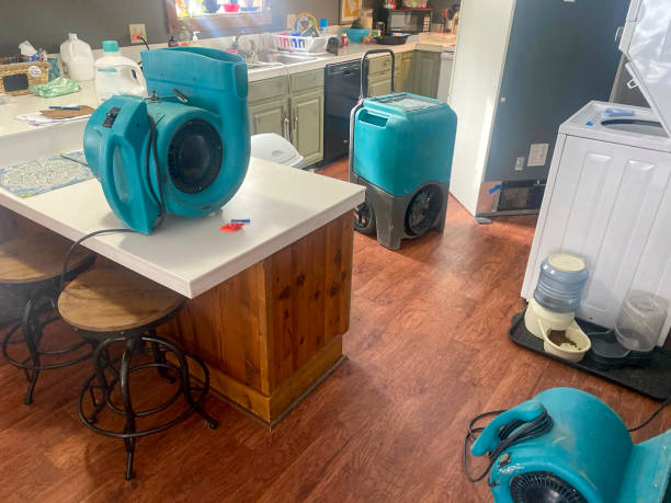 Best Water damage mitigation services  in East Tawas, MI