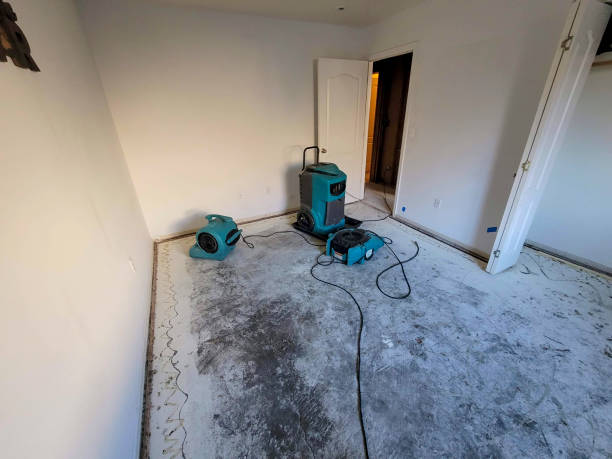 Best Ceiling water damage repair  in East Tawas, MI