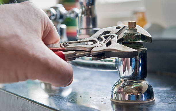 Best Mold removal after water damage  in East Tawas, MI