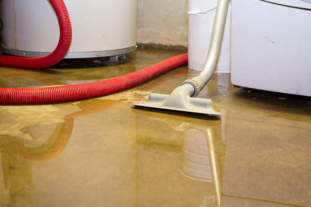 Best Fire Damage Restoration  in East Tawas, MI