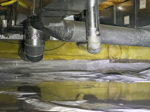 Best Water damage restoration near me  in East Tawas, MI