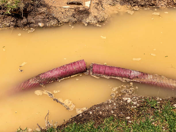 Best Water damage cleanup near me  in East Tawas, MI